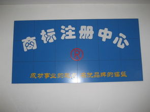 圣佳23周年 专业引领济宁工商代理与公司注册服务